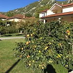 Villa Surmanci 别墅 *