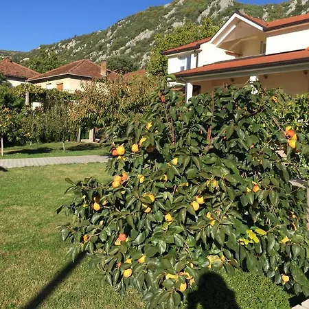 Villa Surmanci 别墅 *